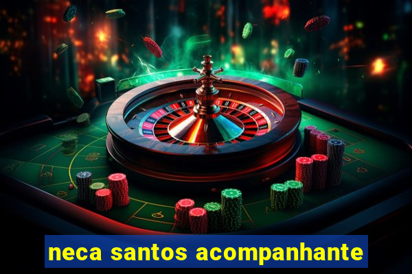 neca santos acompanhante